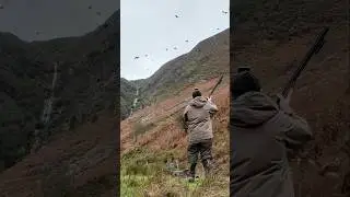 ВОДОПАДНАЯ КУРОПАТКА ВО ВРЕМЯ ШТОРМА, ЭМИ!! 💨