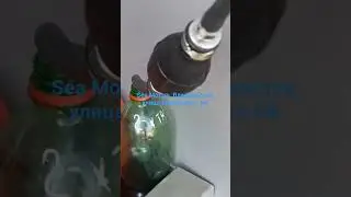 Yamaha 20, Владивосток, Маковского 94, Sea Motors.