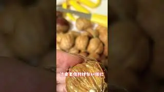 今が旬の栗!!渋皮煮を作ってみた！#くり#渋皮煮