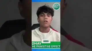 How The Pawsitive Effect Impacts The Community