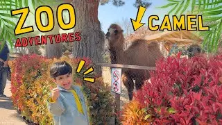 Zoo Adventure for Kids! Funny Animals, Photos & Fun Moments 🐒📸