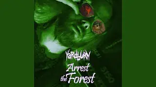 Arrest The Forest