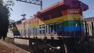 Locomotiva Dash-9 #9042  LGBT De Comandada No Trem De Celulose Carregado.