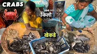 Very Cheapest Fish and Crabs Market 🐟🦀 | Saigaon Satara