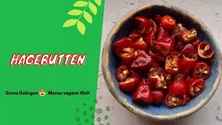 Hagebutten Pulver - selber machen