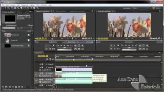 TV scanlines - Premiere Pro