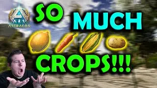 Easy Crops Without Growing Them! Where to Find Citronel Savoroot Rockcarrot Longrass for Veggie Cake