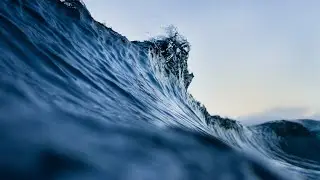 Various nutrients across the world&rsquo;s oceans have &lsquo;different composition&rsquo;