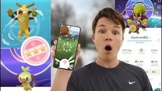 XXL Shiny Hunt am Chimpep Community Day!😱