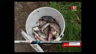 Рыбалка электроудочкой дорого обойдется браканьерам. Зона Х