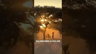 하늘아버지 어머니 숭고하신 희생 (작사-새예루살렘)