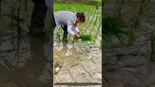 Smart Farming