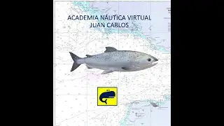 Nº 126 PATRÓN DE YATE Nº17
