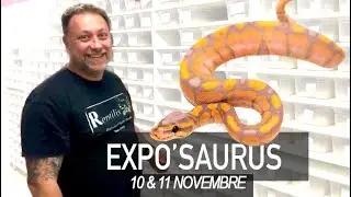 Les reptiles de Reptilis chez Bebesaurus - Preview EXPOSAURUS 10&11 NOVEMBRE 2018