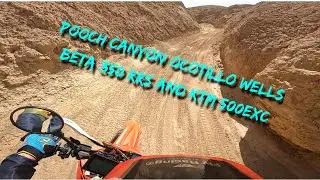 Ocotillo Wells Pooch Canyon