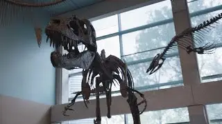 Earth Materials and Archaeometry Center (EMAC) - University of Manitoba