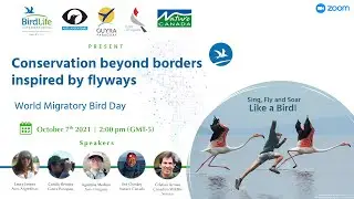 Conservation beyond borders inspired by flyways  - WMBD 2021 Americas