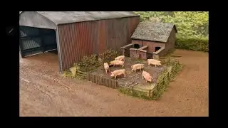 Down on the farm part 2 what a pig sty @ Stockton Junction