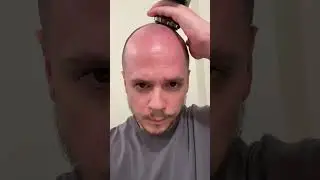 Check out the Palm from Skull Shaver!