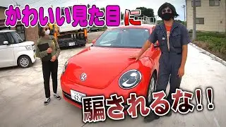 かわいい見た目に騙されるな！！