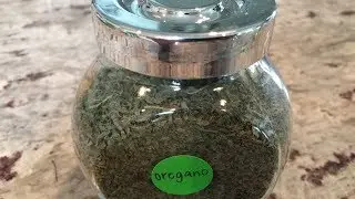 Drying and Propagating Oregano From The Garden