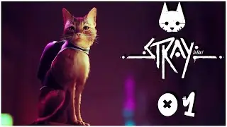 STRAY : L'ASCENSION DU POTI CHAT !!! #01