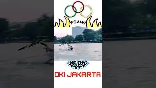 #waterski #crash #slomo #slomotion #extreme #extremesports #fyp #olahragaair #olahragapopuler