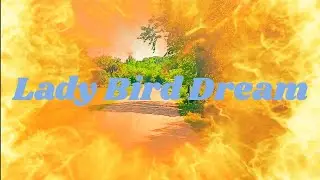 Lady Bird Dream! Color Enhanced Video Stabalizer!