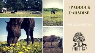 КАКОЙ ВАШ РАЙ В ЛЕВАДЕ?