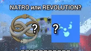 NATRO vs REVOLUTION, какое макро лучше?