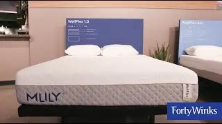 MLILY WellFlex Forty Winks