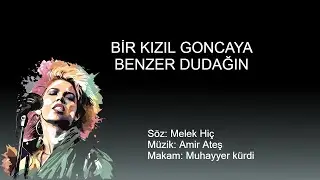 BIR KIZIL GONCAYA BENZER DUDAGIN karaoke