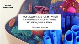 Повреждение клеток и тканей Бегим Талапкызы