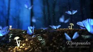 Balance Of Life (Intro)
