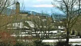 SENEG&Uuml;E NEVADO