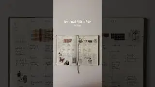 Fill in one of the weekly planner of #MIDORI 2023 B6 Gradation Diary Daylight #journal #planner