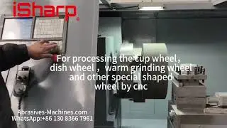 iSharp CNC Specical shaped grinding wheel dressing machine
