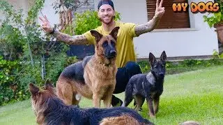 Sergio Ramos & His Family Love Dogs | Star Football |My Dogs