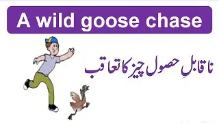 A wild goose chase/ English with Prof Khizar