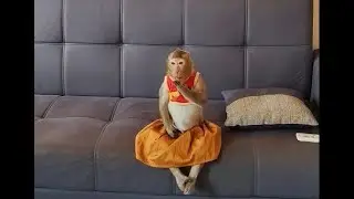 Shally Likes Watching Tv, Wait Mom...