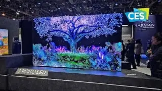 Both LG and Samsung unveiled transparent displays at CES 2024