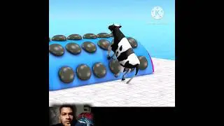 Choose The Right Kay Cow CHALLENGE Animals Cage Game #shorts #choosetherightkey