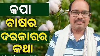 @Jaykisansathi #cottonfarming #cottonfarmers #cotton #किसानों #krushak #krushakodisha #nature