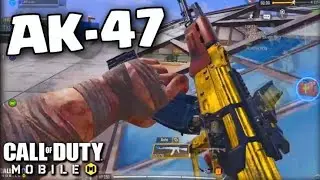 BEST COMBINATION AK-47 & LOCUS  || CALL OF DUTY ||