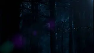 Navi Test 01 Animation