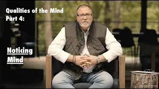Qualities of the Mind, Part 4: The Noticing Mind