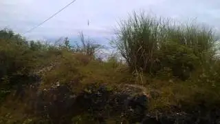 Cebu Coastline