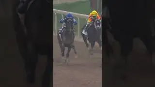 SOVEREIGNTY in Splendid Isolation in the Belmont Stakes&hellip; 👑
