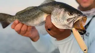 Summer Topwater Tips: How To Catch Big Trout, Redfish, And Snook On Topwater Lures