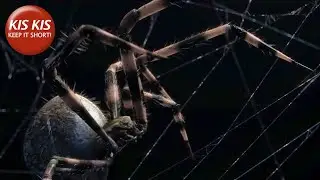 CG short film 